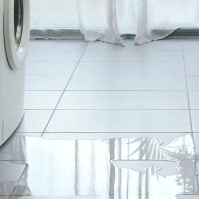 Appliance Leak Cleanup in Madison, FL
