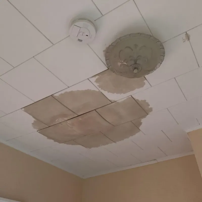 Ceiling Water Damage Repair in Madison, FL