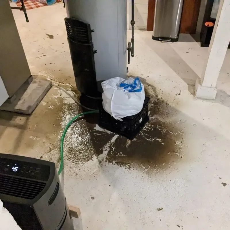 Sewage Backup Cleanup Service in Madison, FL